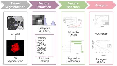 A Nomogram Combined Radiomics and Clinical Features as Imaging Biomarkers for Prediction of Visceral Pleural Invasion in Lung Adenocarcinoma